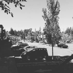 Meet your Posher, Joe